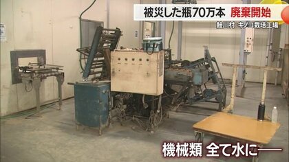 大雨から1カ月 全滅したブナシメジの瓶70万本を廃棄 酒田市では「被災
