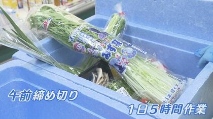 5時間営業で“年間10億円”…三重の『ローカルスーパー』がネット販売で