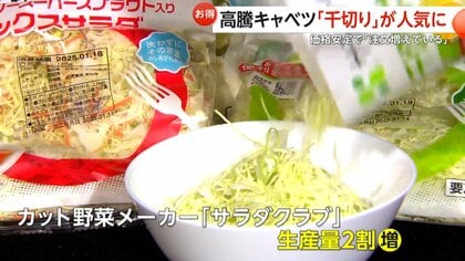 正直言って赤字」 1玉400円台…平年比“約3.3倍”の高騰にキャベツの