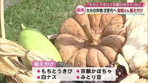 財前直見さんが伝統の作物植え付け「もちとうきび」や「宗麟かぼちゃ」など　大分の食文化を次世代へ