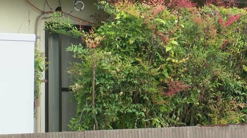 49歳母娘と12歳娘が死亡　逮捕の父親(46)を釈放　有毒物を服用か　2人の殺害ほのめかす　長野・東御市