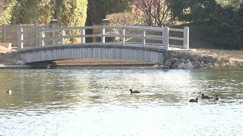 千葉の新浜鴨場で床上浸水　去年は愛子さまが「鴨場接待」デビュー　陛下が皇后さまにプロポーズした思い出も