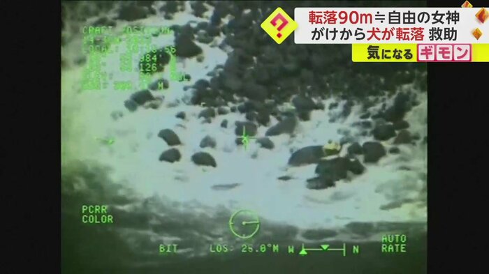 泳いで犬を助けに向かう沿岸警備隊(USCG PacificNorthwest via Twitter)