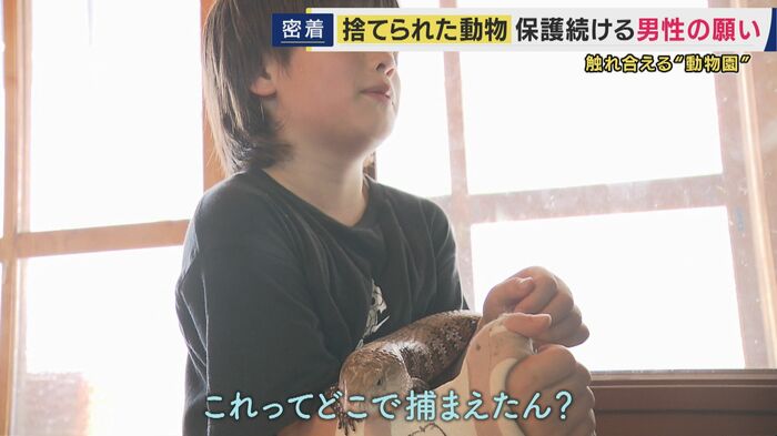 触れ合える『動物園』