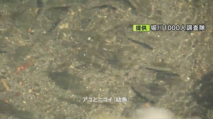 ニュースONE