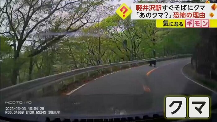 道路の右側から飛び出してくるクマ(FNN投稿サイト「ビデオPost」)