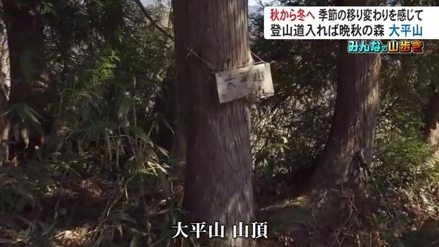 「大平山」の山頂に到着
