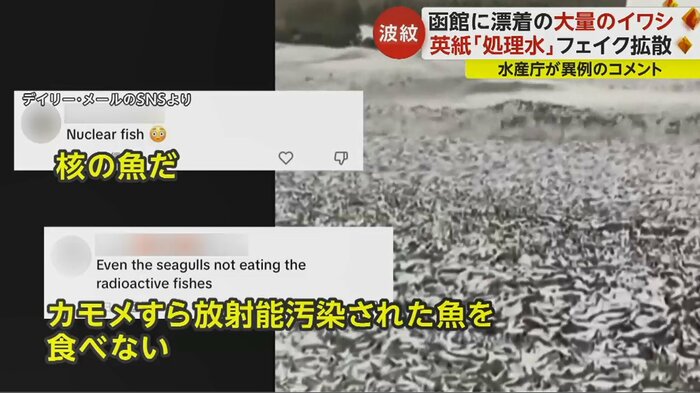 デイリー・メールのSNS動画に寄せられたコメント