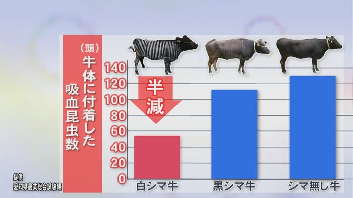ニュースONE