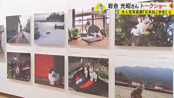 新作 約150点も