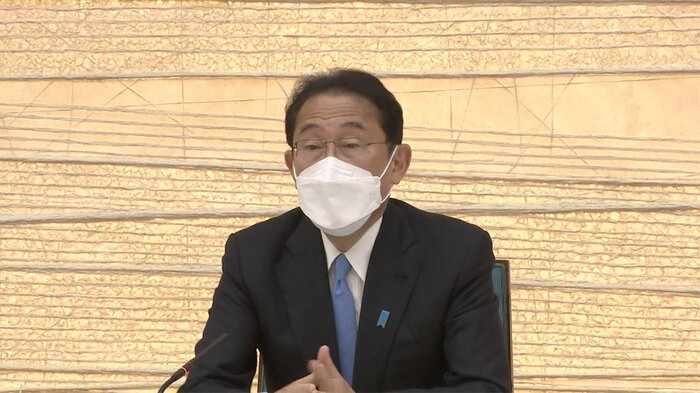新しい資本主義実現会議で発言する岸田首相(8日)