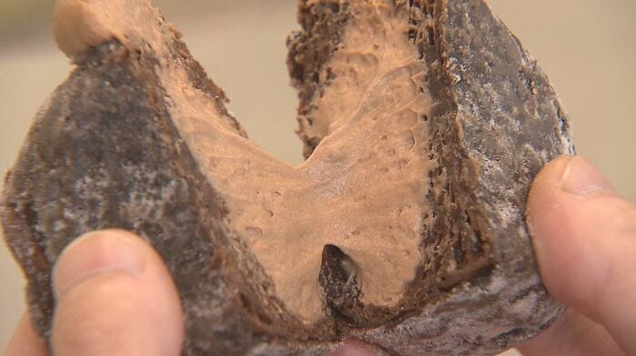 軽井沢店限定のチョコカスタードクリーム（432円）