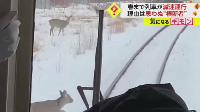 左下にシカがみえる。スレスレを通り過ぎていく。