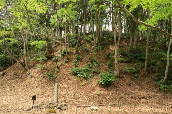 赤尾屋敷から見上げる本丸と大広間