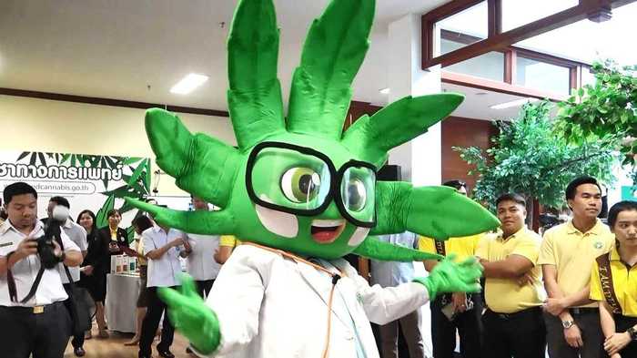 「医療大麻」解禁のタイでクリニックに患者殺到 ゆるキャラまで登場させる政府全面推しの思惑
