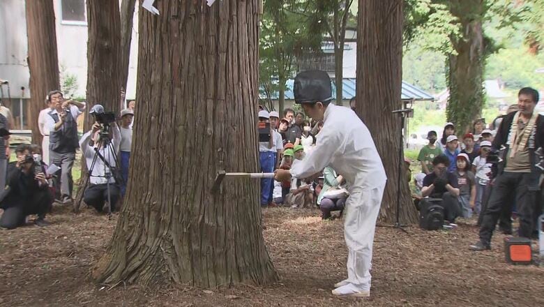 2027年「善光寺御開帳」へ　本堂前の“回向柱”の「斧入れ式」　高さ35m、幹回り2.8m、樹齢250年以上の杉の木　御開帳は4月4日から77日間　長野市｜FNNプライムオンライン