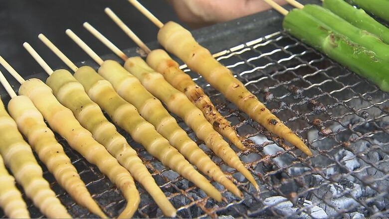 「コリコリしておいしい」旬の味覚「ネマガリダケ」を屋台で味わう「たけのこまつり」　長野・野沢温泉村で6月29日まで｜FNNプライムオンライン