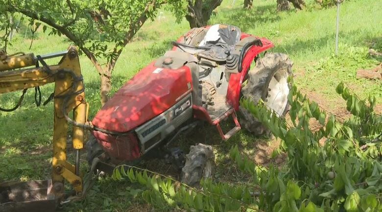 リンゴ畑にトラクター落下　89歳男性が死亡　斜面を約7メートル転落か　長野・飯田市｜FNNプライムオンライン