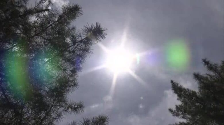 東京・練馬区で最高気温35.3℃を観測　東京で初の「猛暑日」｜FNNプライムオンライン