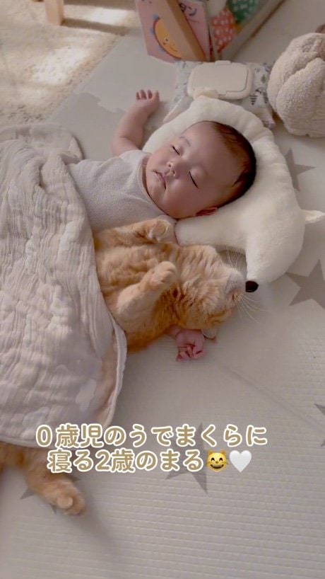 提供：ひなまる色さん