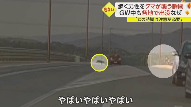 ところが、車道を渡って逃げた男性に向かって、クマが突進してきた。