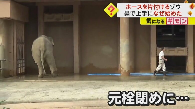 （撮影：らすかるさん）