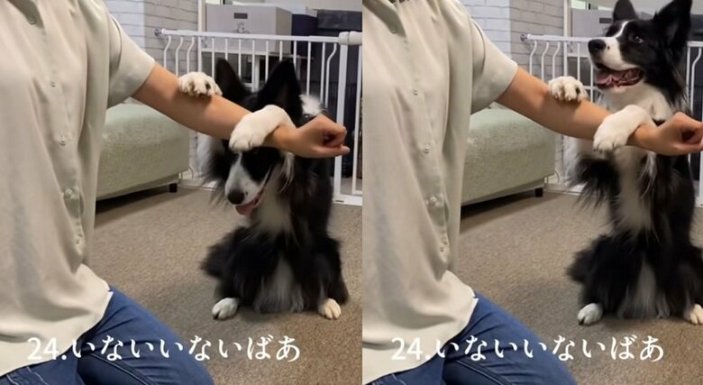 いないいないばあ