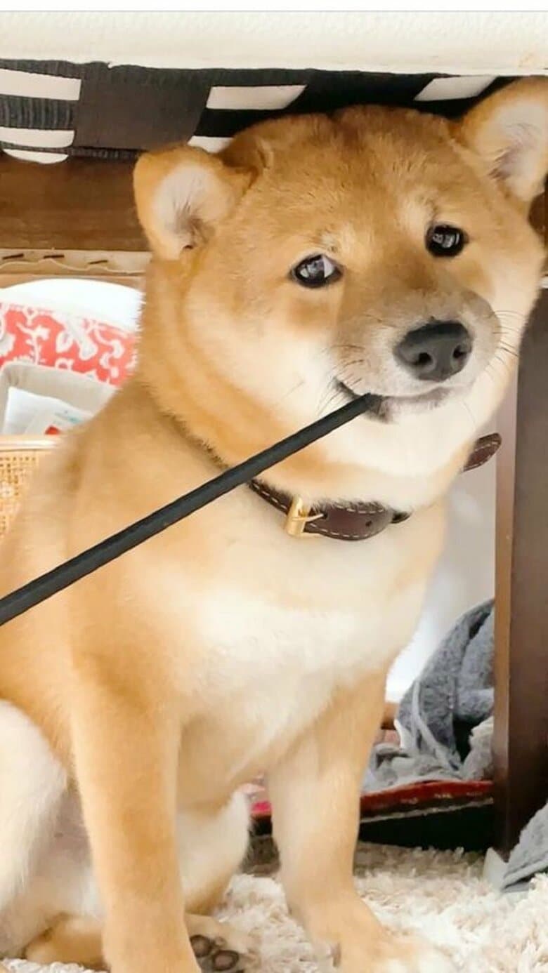 「構って」
