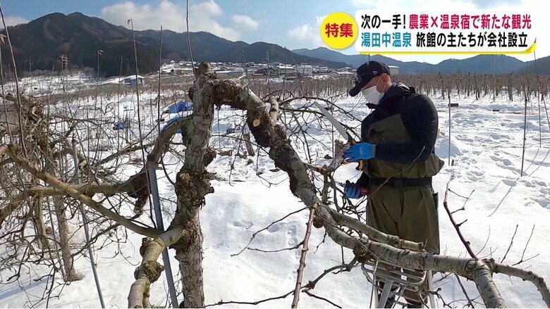 金子真一朗さんがリンゴのせん定