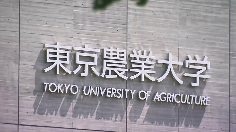 東京農業大学では10代のボクシング部員2人が逮捕された