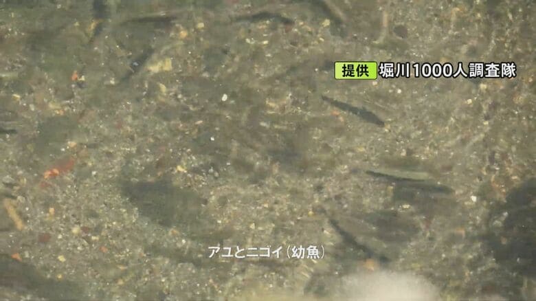 ニュースONE