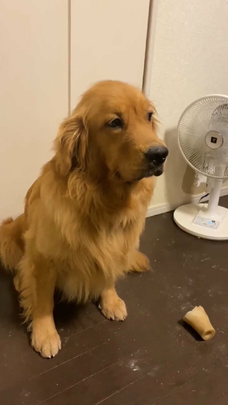 素知らぬふりをするが…