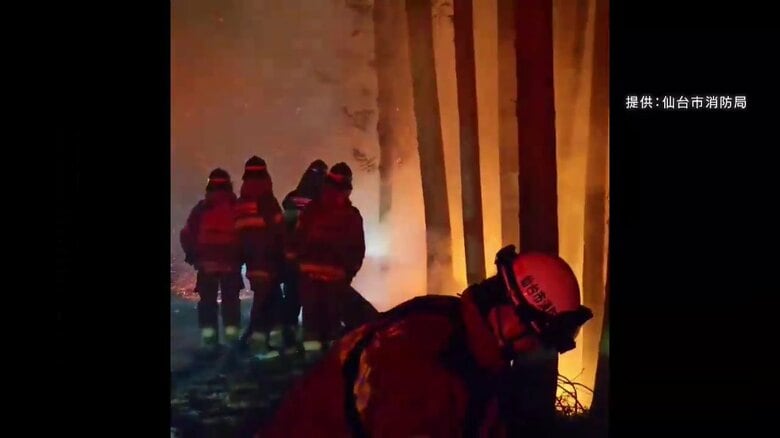 大船渡市の山林火災・消火活動（提供：仙台市消防局）