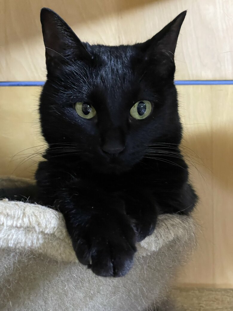 提供：マクーさん