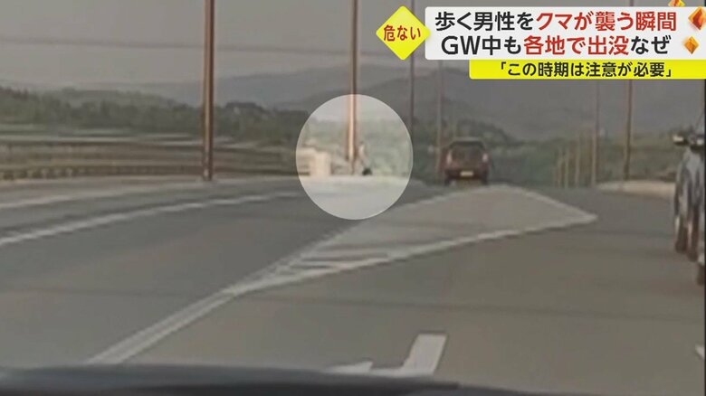 その後、男性は、車道を渡って、反対側に逃げた。