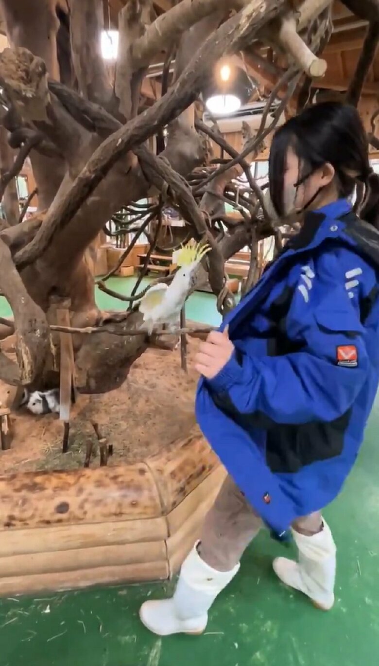 楽しそうなレイくんと飼育員だった（提供：長崎バイオパーク）