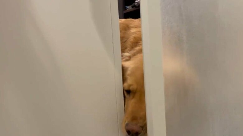 お風呂に興味津々な様子