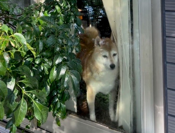 提供：橋本真実さん