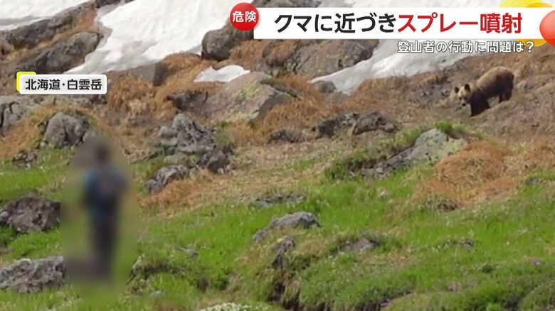 多くの登山者が遠くで見守っているなか、クマへ近づいた1人の男性