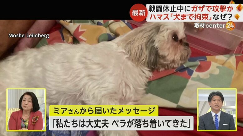 ミア･レインバーグさん（17）が父親に送った、ハマスに一緒に拘束されたペットの犬・ベラの写真