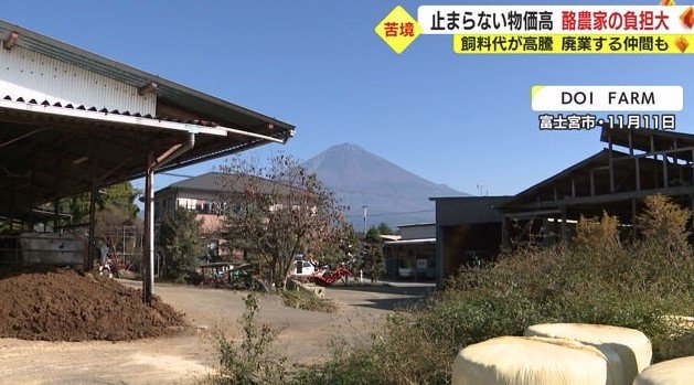 DOI FARMから望む富士