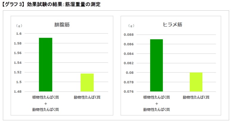 植物性たんぱく質と動物性たんぱく質の同時摂取効果を検証 ダブルで摂取するとたんぱく質を効率的に吸収することを確認
