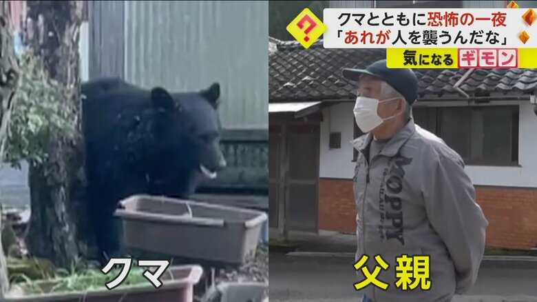 家の中にいた女性は、木の上にいるのは父親かと思っていたという