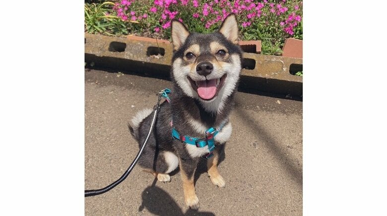 リュックトレーニングを頑張ってほしい