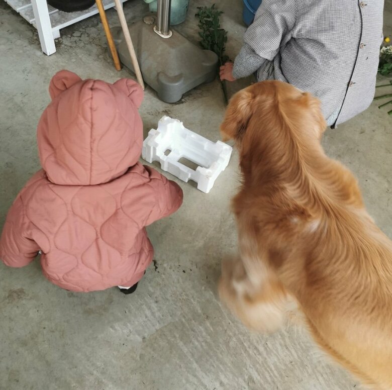 提供：ふぉるてさん