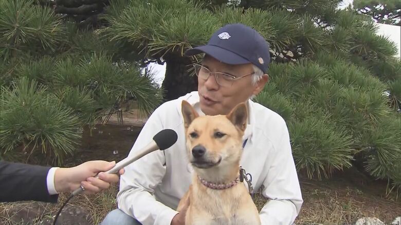 山陰柴犬の育成会員と交流を深められた