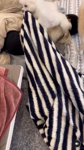 提供：エマ emmaさん