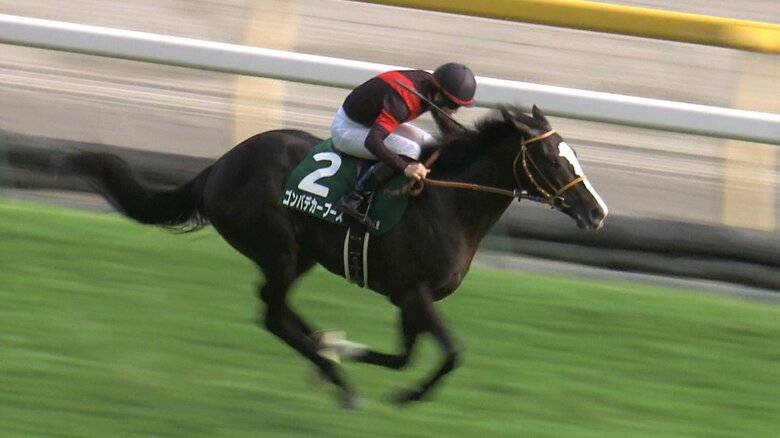 サウジアラビアロイヤルＣを制したゴンバデカーブース