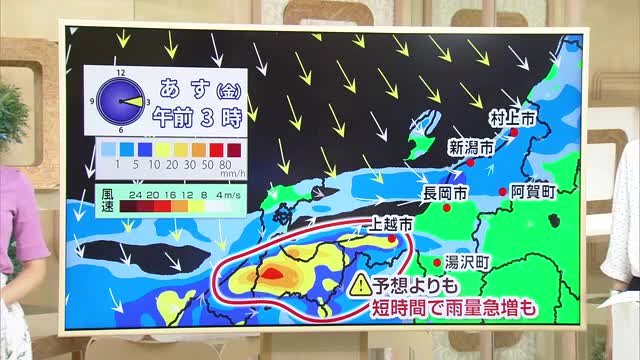 再び雨脚強まる…新潟県内28日未明から朝にかけて雨のピーク　上越・下越では局地的に“激しい雨”の見込み　気象予報士の解説