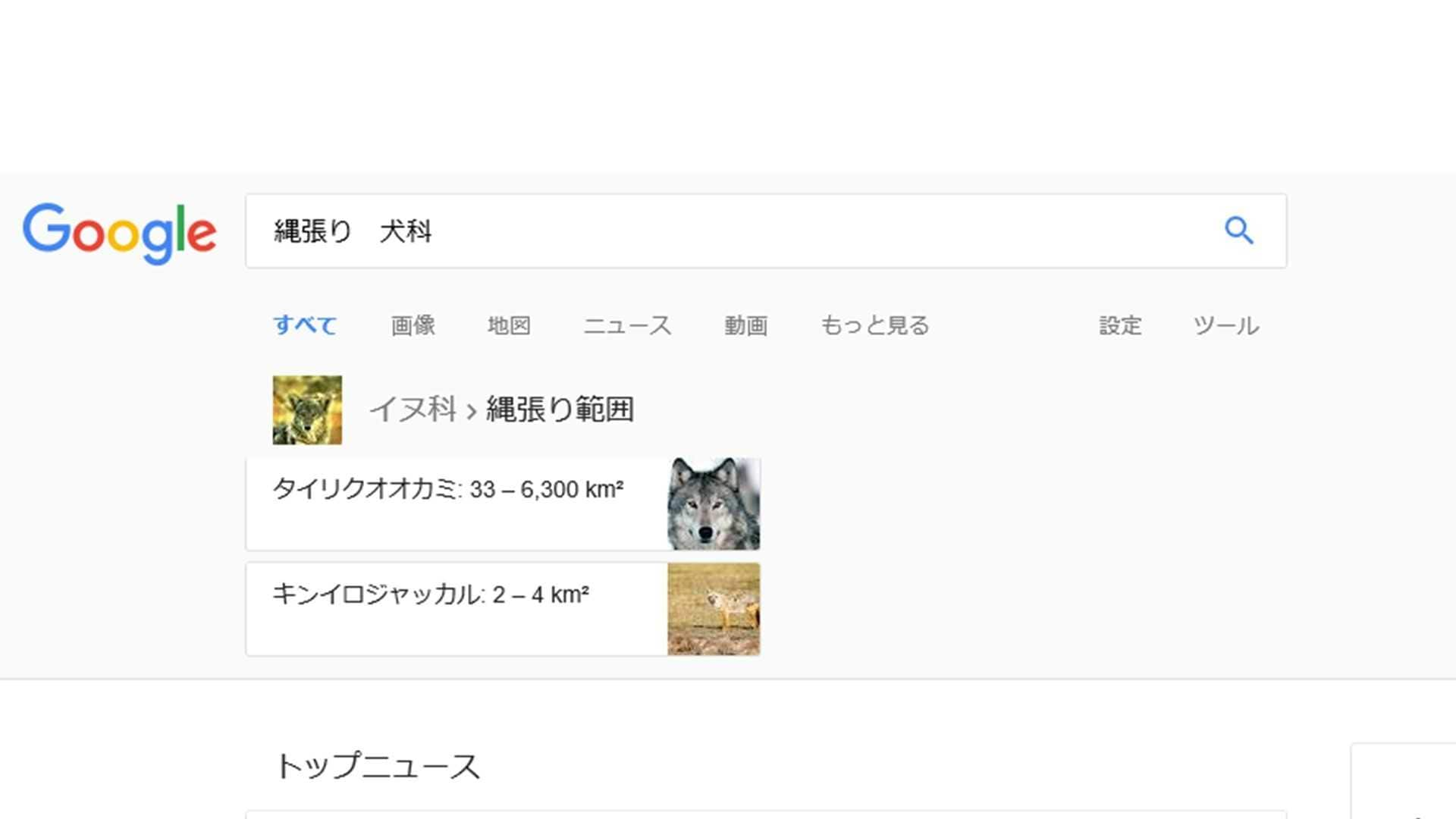 猫の縄張り まで検索できる Googleのナゾ機能を ぞくぞく検証してみた Google検索のナゾ機能が時々話題になりますが 新たに動物の縄張り 範囲が分かる機能が注目を集めています